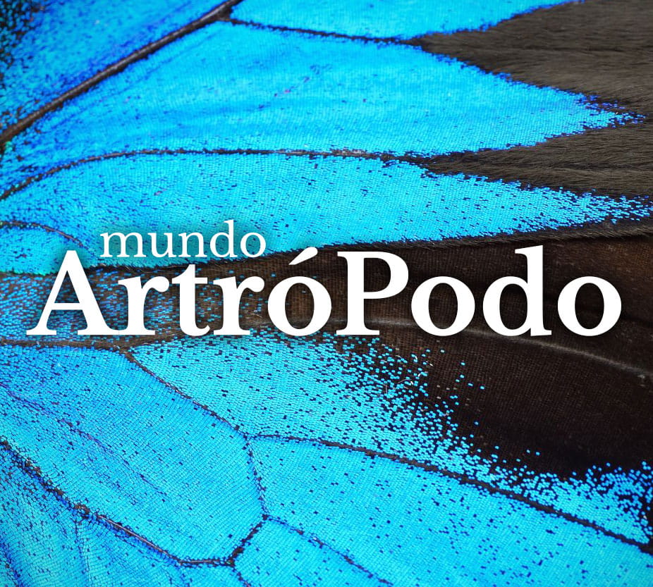 www.mundoartropodo.com