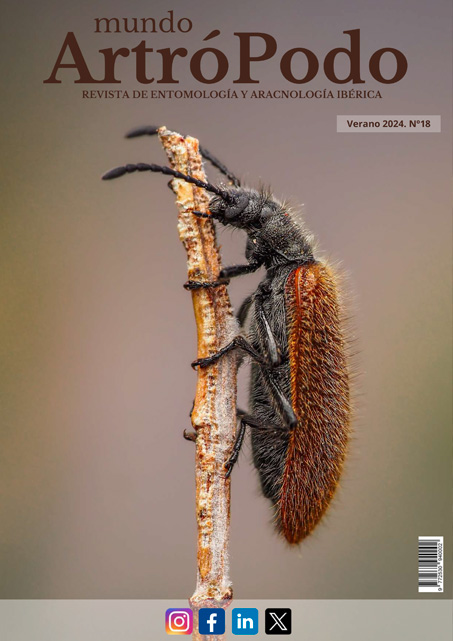 Revista 18